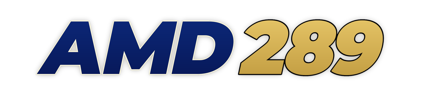 amd289
